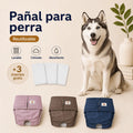 Pañales lavables para perra + 🎁 Gratis 3 insertos removibles