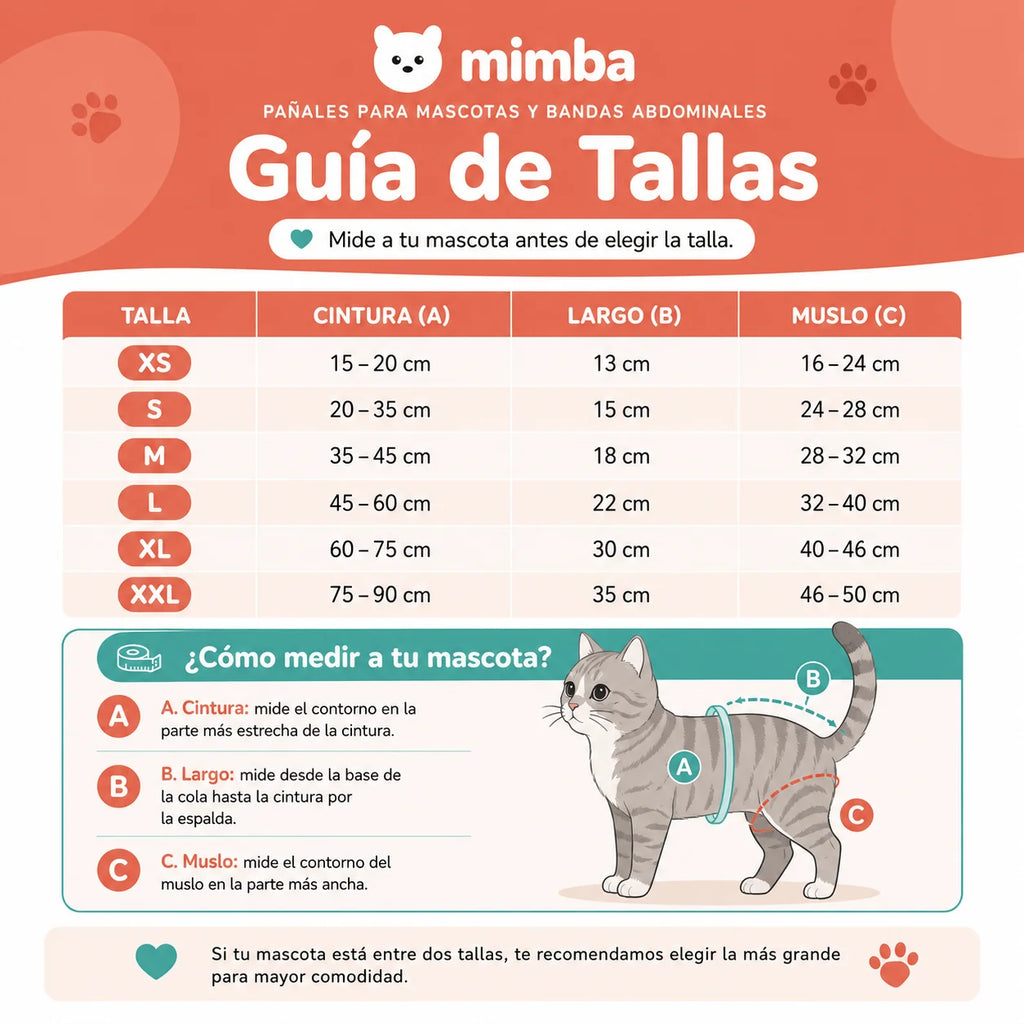 Pañales lavables para gatas  + 🎁 Gratis 3 insertos removibles
