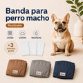 Bandas lavables para perros machos + 🎁 Gratis 3 insertos removibles