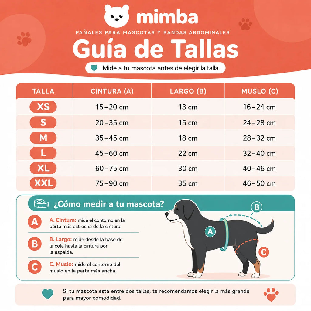 Bandas lavables para perros machos + 🎁 Gratis 3 insertos removibles